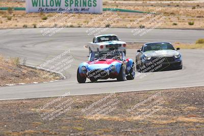 media/Oct-25-2025-West Coast Racing (Sat) [[9fdcbcd09c]]/Yellow group/Turn 4/